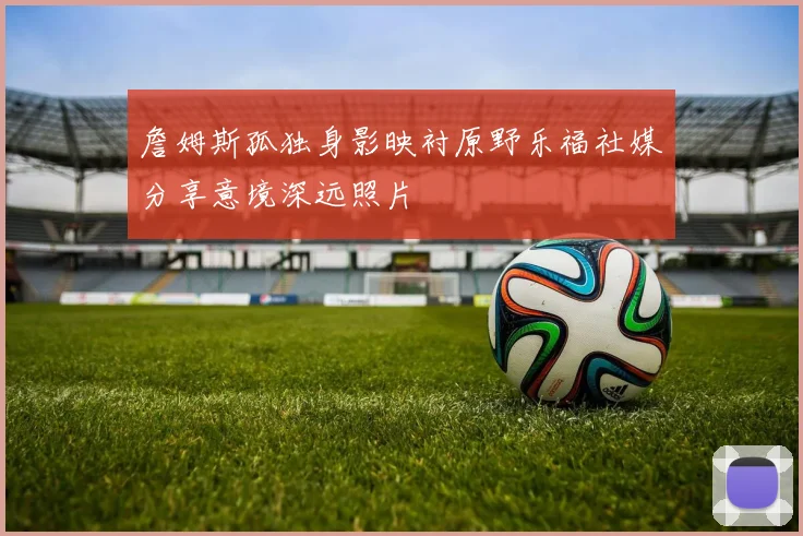 詹姆斯孤独身影映衬原野乐福社媒分享意境深远照片